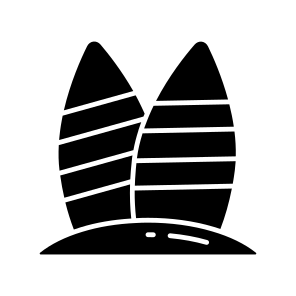 Surfboard, Surfing, Adventure Board, Wakeboard, Flowboard icon