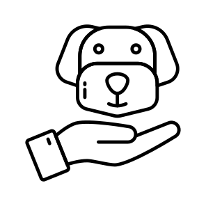 Dog Care, Pet Care, Animal, Specie, Creature icon