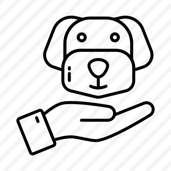 Dog Care, Pet Care, Animal, Specie, Creature  preview