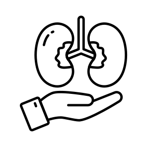 Kidney Donation, Charity, Grant, Giving Kidney, Contribution icon