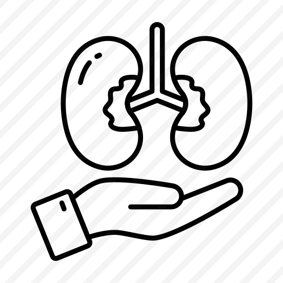 Kidney Donation, Charity, Grant, Giving Kidney, Contribution  preview