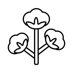 Cotton Flower, Cotton Plant, Gossypium, Malvaceae, Nature icon