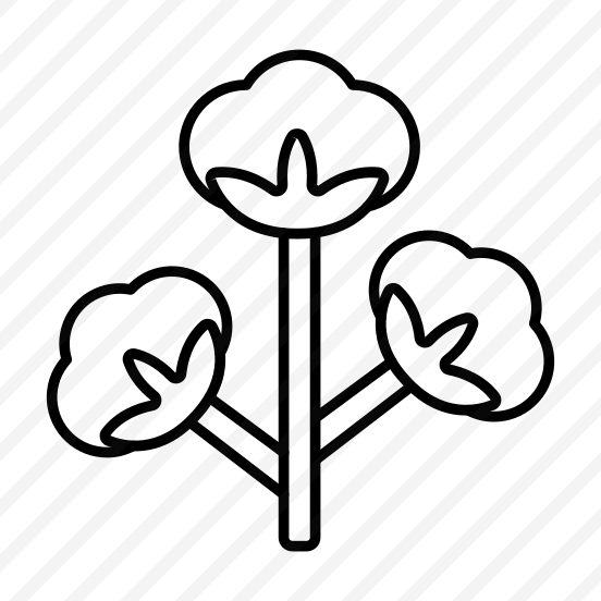 Cotton Flower, Cotton Plant, Gossypium, Malvaceae, Nature preview