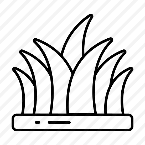 Grass, Grassland, Greenery, Pasture, Meadow,  preview