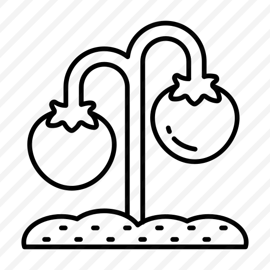 Growing Plant, Sprout, Tomato Plant, Farming, Agriculture preview