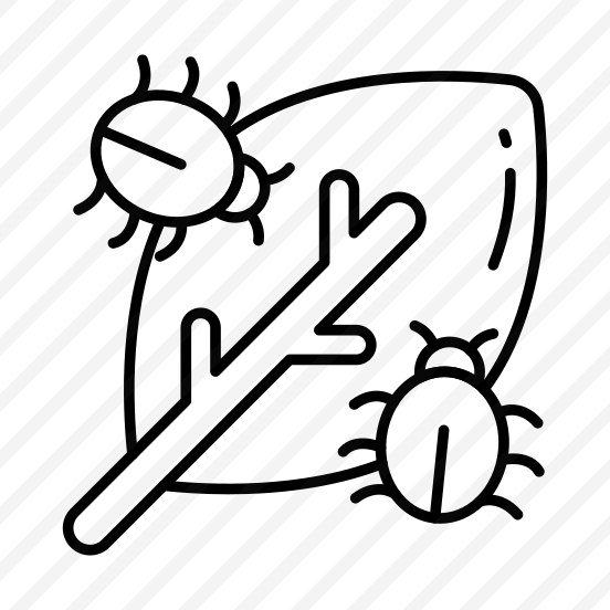 Leaf Bug, Leaf Insect, Infected Leaf, Leaflet, Crop Bug preview