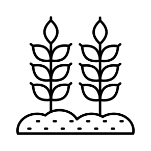 Mud Plant, Sprout, Growing Plant, Farming, Agriculture, icon