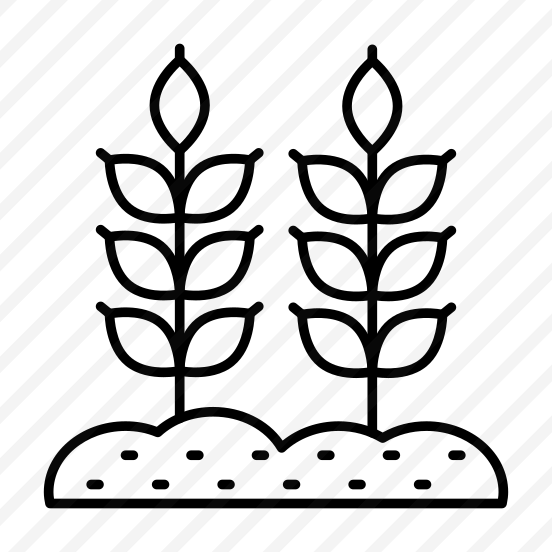 Mud Plant, Sprout, Growing Plant, Farming, Agriculture preview