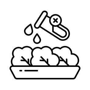 No Chemical Food, Organic Food, Healthy Food, Edible, No Chemical Additive icon