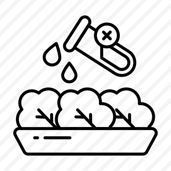 No Chemical Food, Organic Food, Healthy Food, Edible, No Chemical Additive  preview