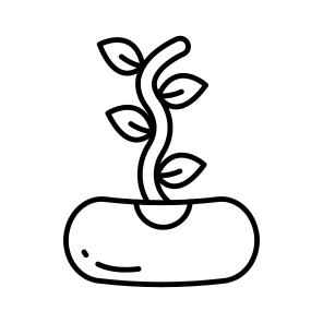 Seedling, Sapling, Sprout, Sowing, Legume icon