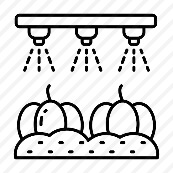 Vegetable Irrigation, Farming, Agriculture, Vegetable Sprinkler, Watering  preview