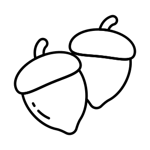 Acorn, Fruit, Edible, Nutrition Diet, Healthy Meal, icon