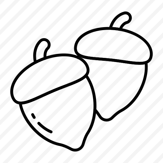 Acorn, Fruit, Edible, Nutrition Diet, Healthy Meal,  preview