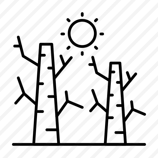 Drought, Dry Spell, Natural Disaster, Dead Plants, Dry Weather,  preview