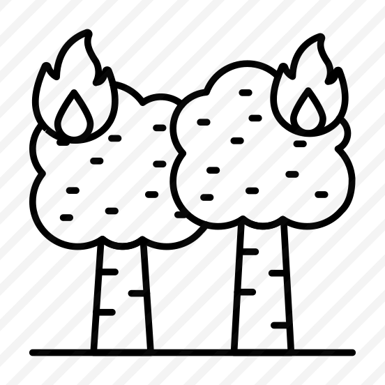 Forest Fire, Tree Burning, Forest Burning, Bushfire, Disaster  preview