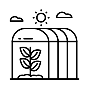 Hydroponic, Horticulture Plants, Farm Plants, Urban Farming, Greenhouse icon