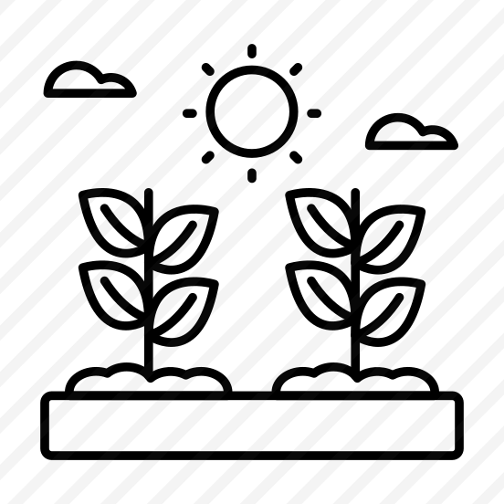 Mud Plants, Sprout, Growing Plants, Farming, Agriculture preview