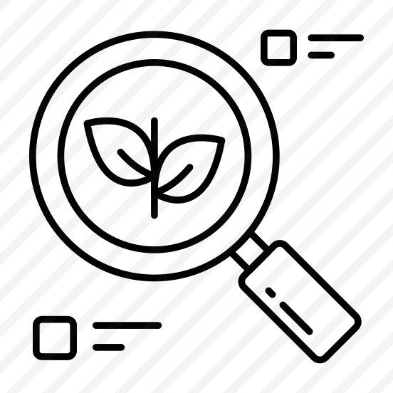 Search Leaf, Find Leaf, Leaf Analysis, Eco Analysis, Eco Exploration  preview