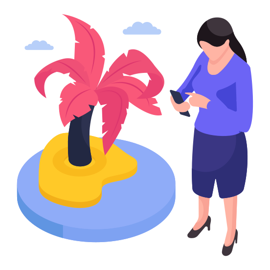 Palm Tree, Coconut Tree, Beach Tree, Arecaceae, Nature illustration