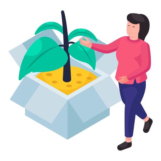 Eco Box, Eco Parcel, Eco Package, Eco Carton, Ecology Box illustration
