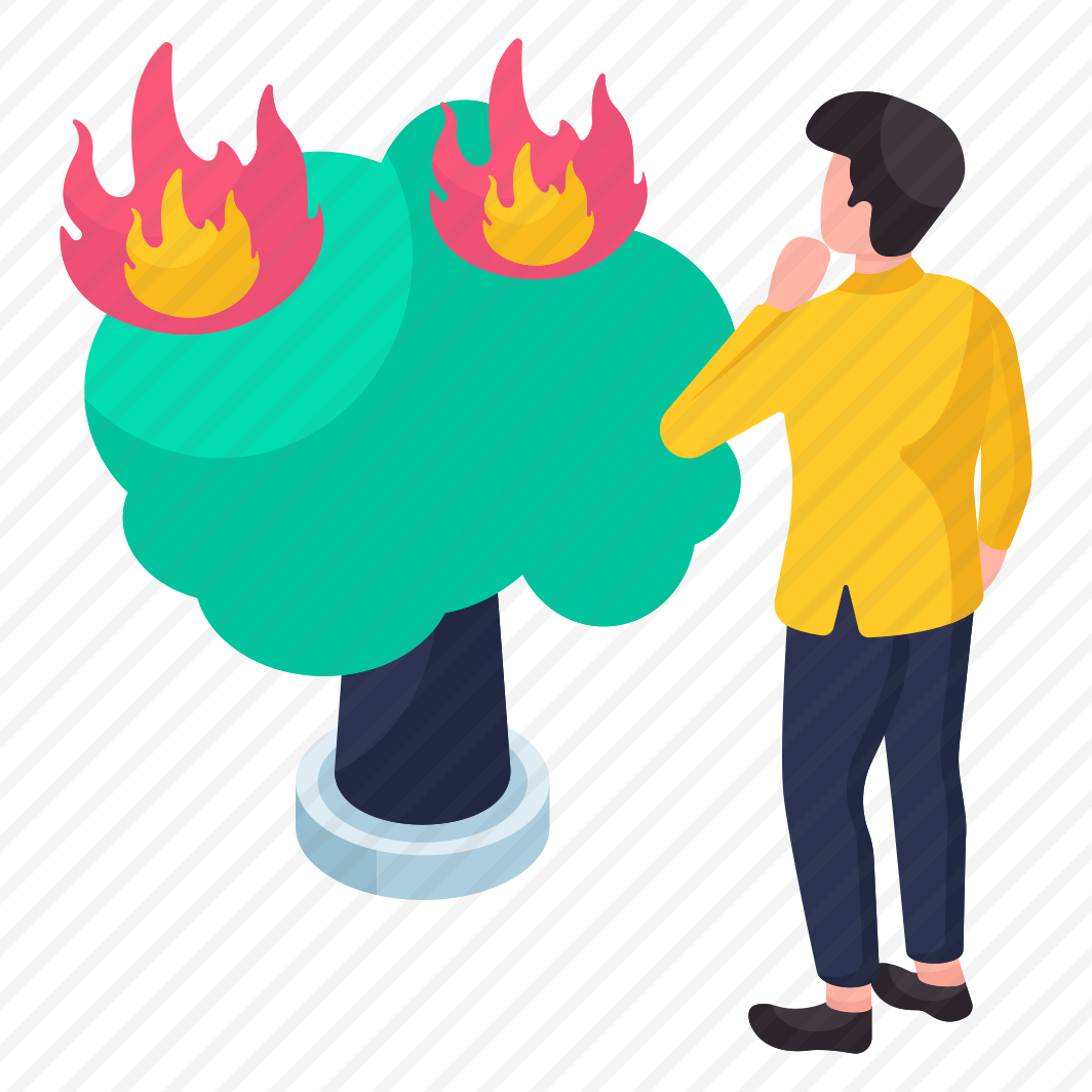 Forest Fire, Tree Burning, Forest Burning, Bushfire, Disaster preview