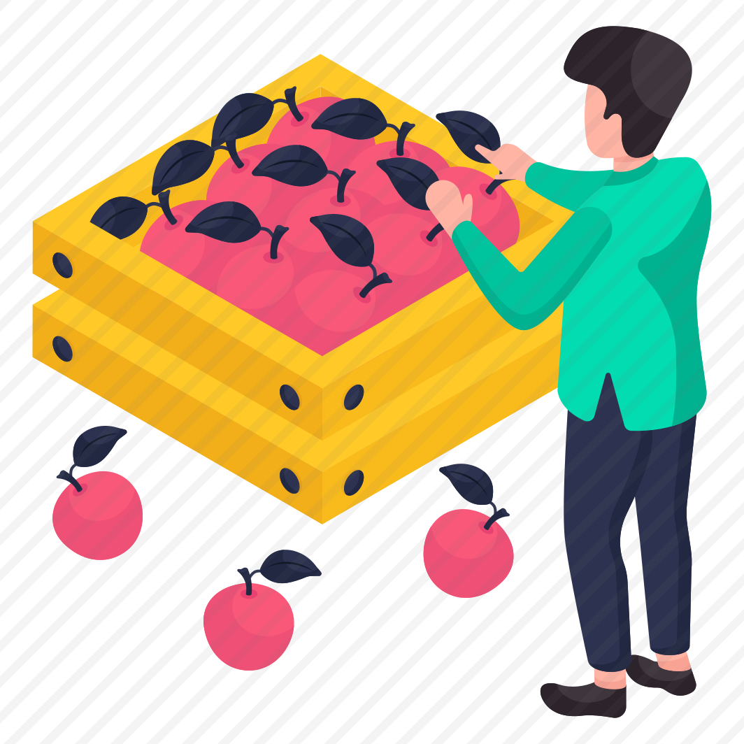 Fruit Crate, Fruit Box, Fruit Carton, Fruit Packing, Fruit Garden preview