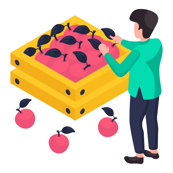 Fruit Crate, Fruit Box, Fruit Carton, Fruit Packing, Fruit Garden illustration