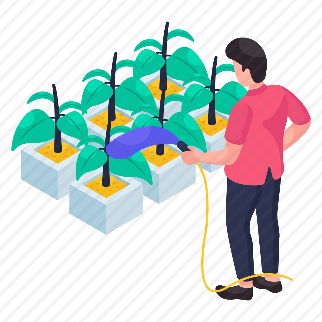 Indoor Plant, Decorative Plant, Houseplant, Potted Plant, Gardening preview