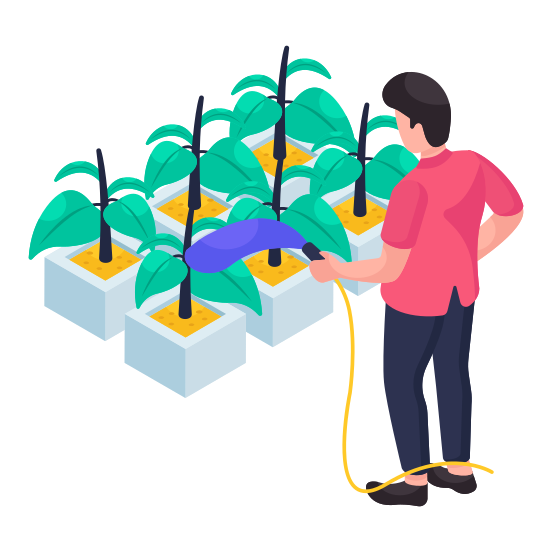 Indoor Plant, Decorative Plant, Houseplant, Potted Plant, Gardening illustration