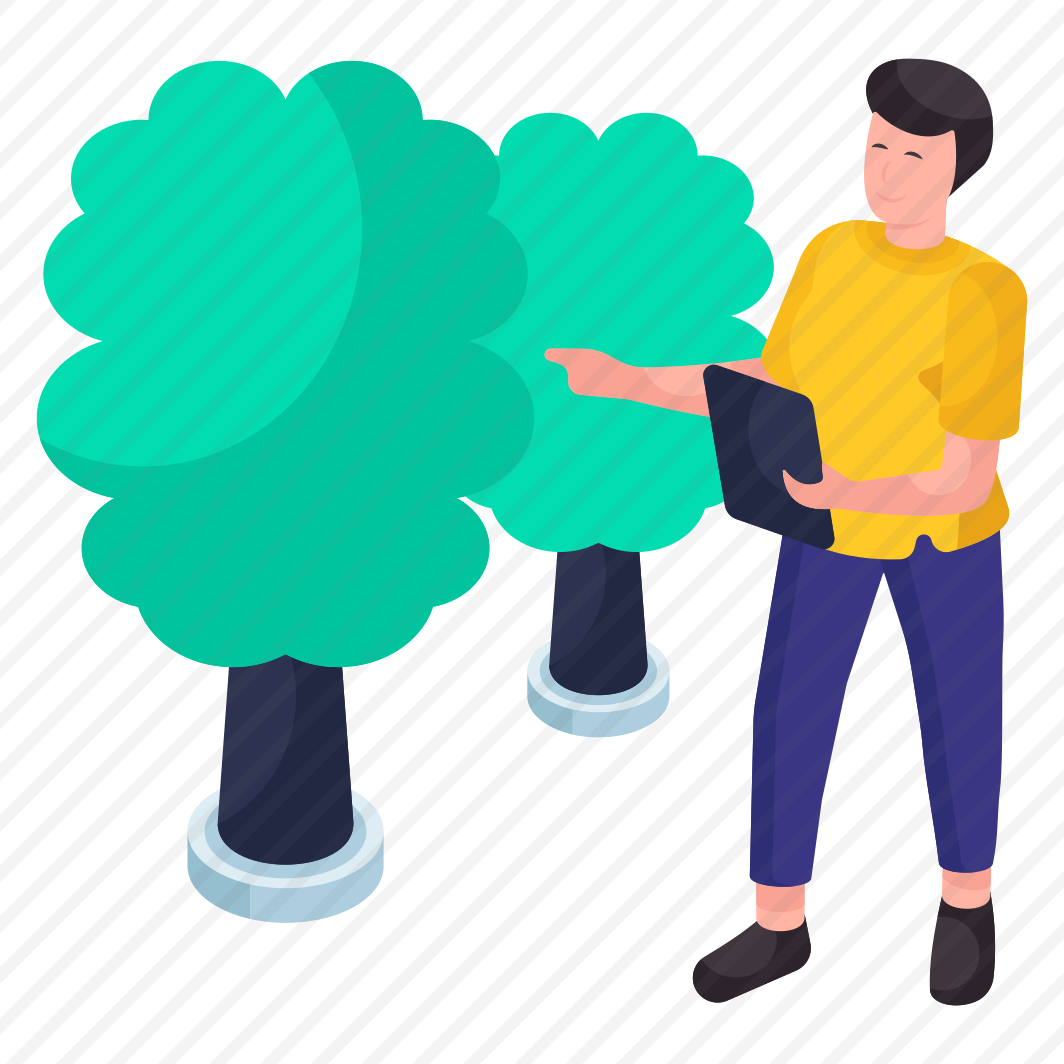 Tree, Botany, Forestland, Woodland, Ecology preview