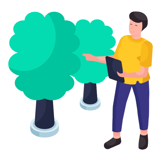 Tree, Botany, Forestland, Woodland, Ecology illustration