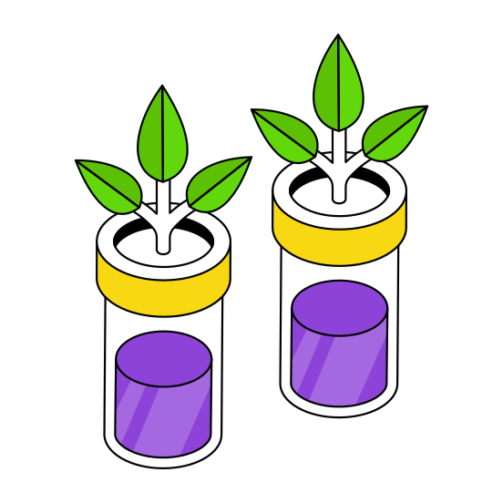 Botanical Tube, Experiment, Lab Apparatus, Lab Equipment, Test Tube  illustration