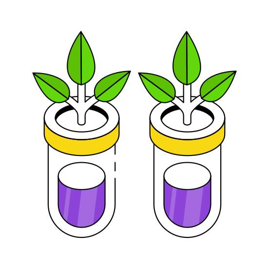 Botanical Tubes, Experiment, Lab Apparatus, Lab Equipment, Sample Tubes  illustration