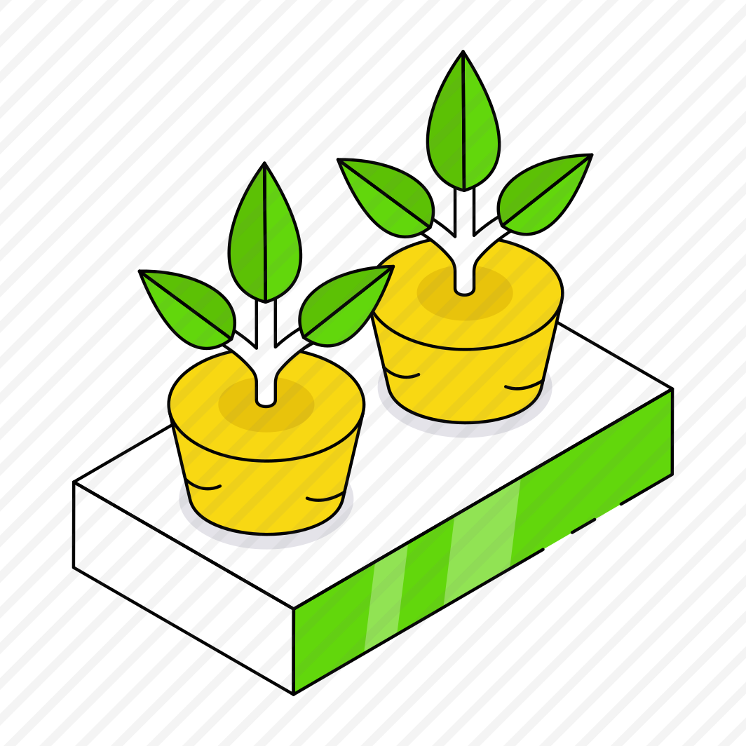 Indoor Plants, Decorative Plants, Houseplants, Potted Plants, Nature  preview