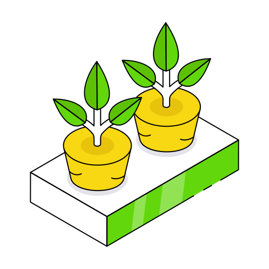 Indoor Plants, Decorative Plants, Houseplants, Potted Plants, Nature  illustration