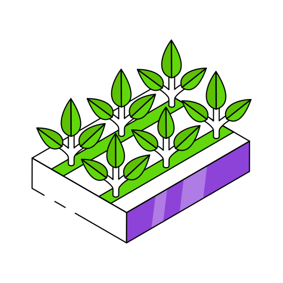 Mud Plant, Sprout, Growing Plant, Farming, Agriculture illustration