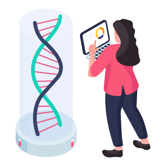 Dna, Deoxyribonucleic Acid, Dna Strand, Genetic Material, Double Helix Strand illustration