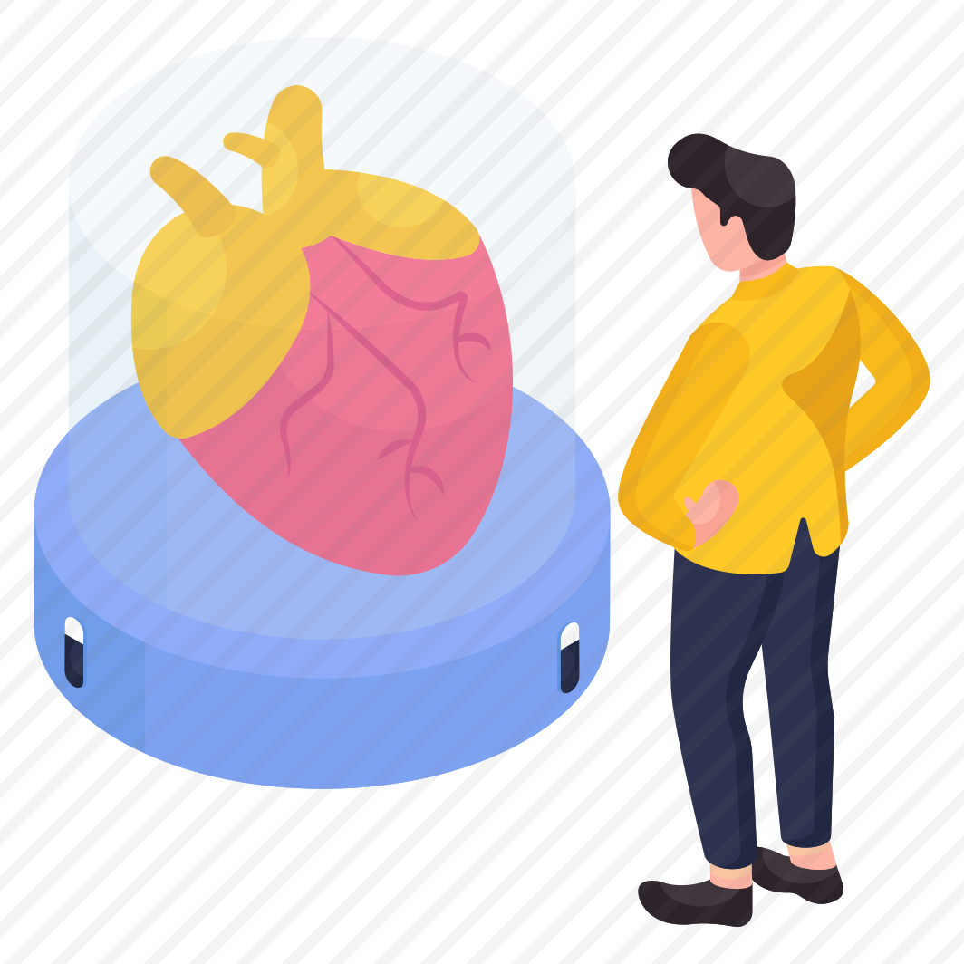 Heart, Body Part, Cardiogram, Cardiology, Muscular Organ,  preview