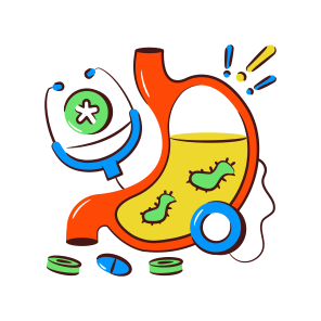 Stomach, Digestion, Human Organ, Internal Anatomy, Biology, icon