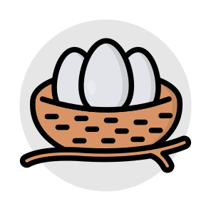 Eggs, Healthy Diet, Healthy Meal, Nutritious Diet, Eggshells icon