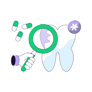 Search Tooth, Find Tooth, Tooth Analysis, Dental Research, Dental Analysis, icon
