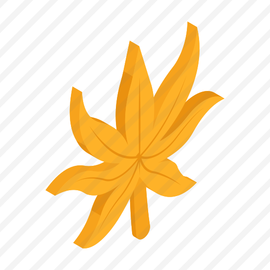 Ecology Leaf, Leaflet, Botany, Nature, preview