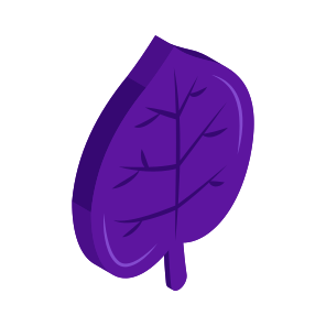 Leaf, Leaflet, Botany, Nature, Ecology icon