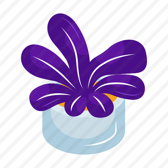 Houseplant, Potted Plant, Nature,indoor Plant, Decorative Plant, preview