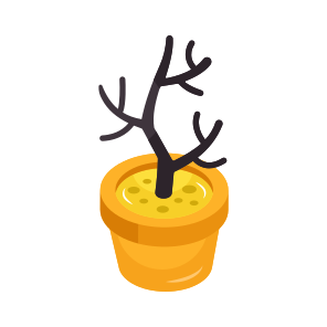 Indoor Plant, Decorative Plant, Houseplant, Potted Plant, Nature icon