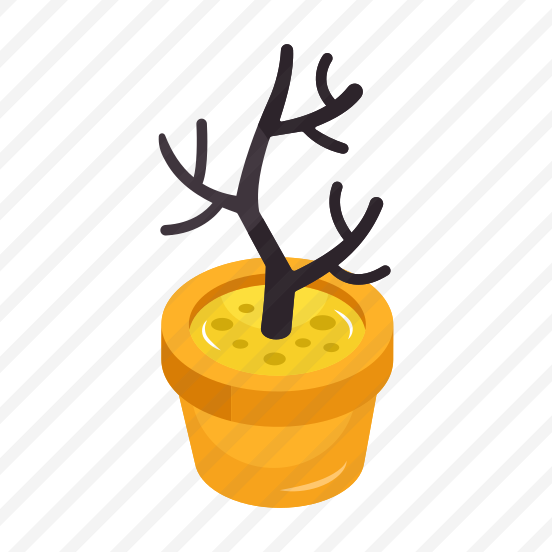 Indoor Plant, Decorative Plant, Houseplant, Potted Plant, Nature preview