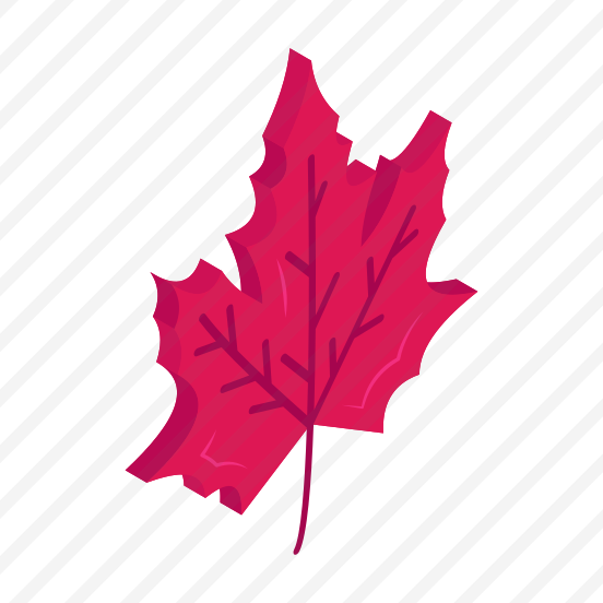 Maple Leaf, Leaflet, Bloom, Blossom, Nature preview