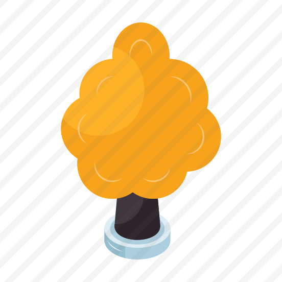 Tree, Plant, Nature, Botany, Ecology preview