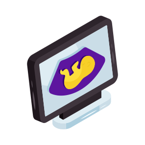 Ultrasound, Sonography, Ultrasonography, Ecography, Sonogram, icon